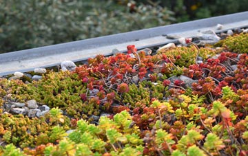 the cost of Liddington green roof installation