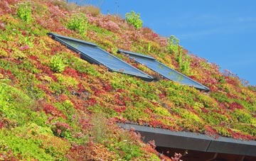 Liddington living roof systems